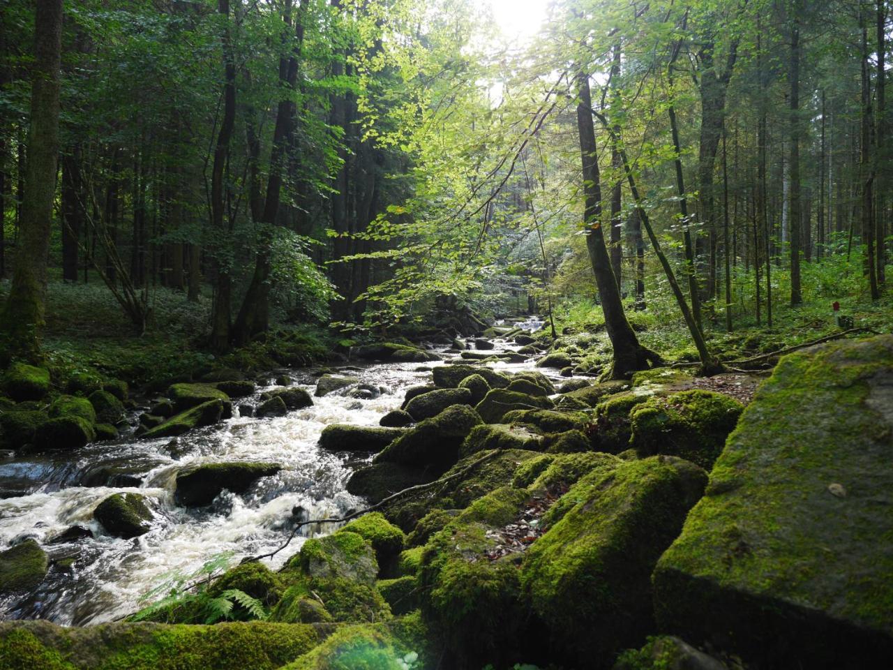 Neukirchen vorm Wald Fewo Kedo מראה חיצוני תמונה