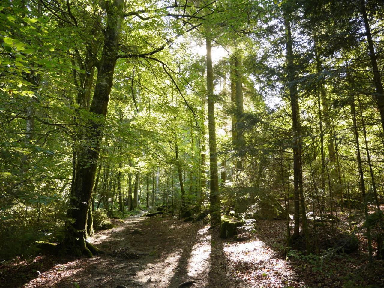 Neukirchen vorm Wald Fewo Kedo מראה חיצוני תמונה