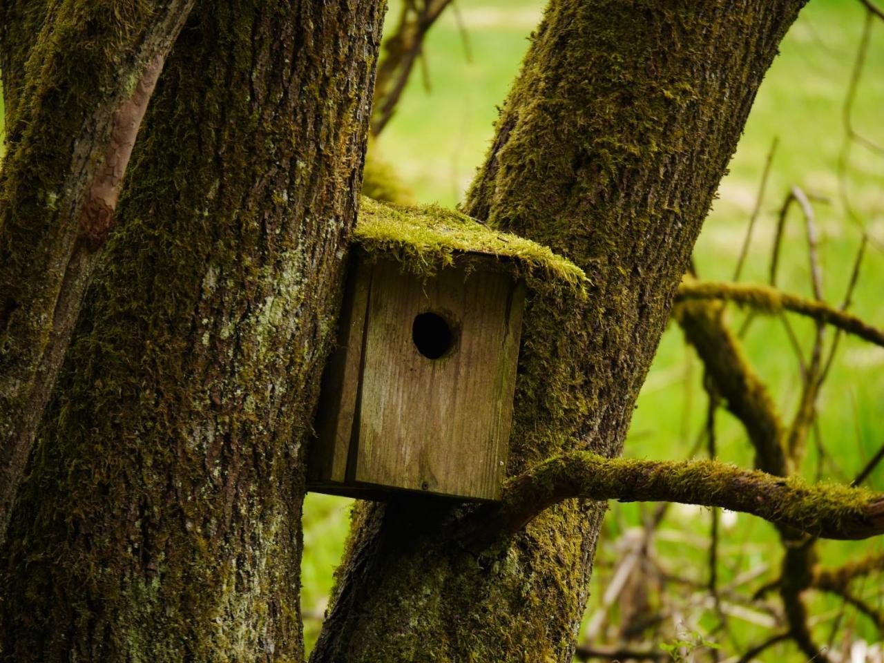 Neukirchen vorm Wald Fewo Kedo מראה חיצוני תמונה